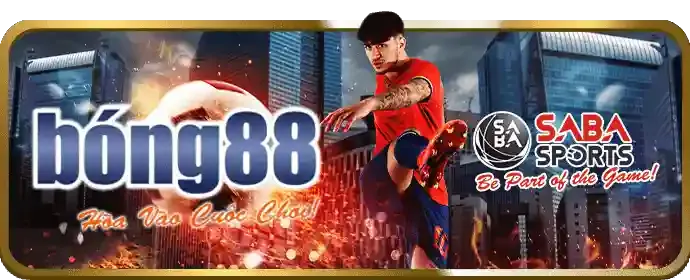 Cá cược quần vợt nem88